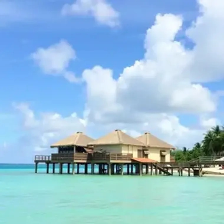 Quando Ir Para Punta Cana Completo | Partiu Viagens