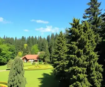 Roteiro 3 Dias Em Campos Do Jordao Barato 333 | Partiu Viagens