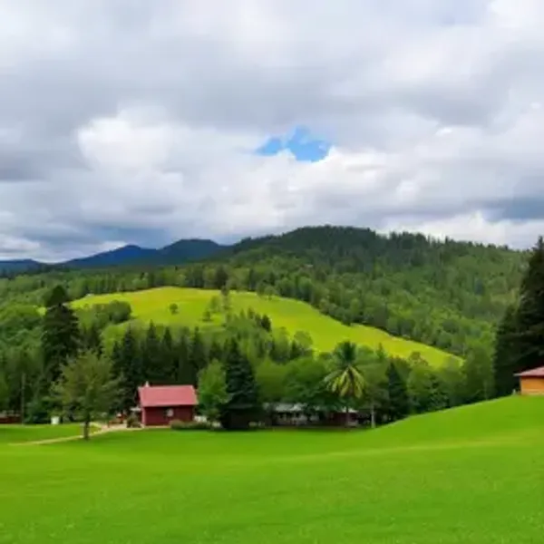 O Que Fazer Em Campos Do Jordao: Descubra as Melhores Dicas!