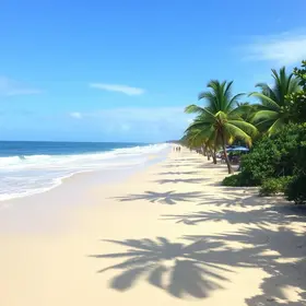 Quando Ir Para Porto De Galinhas Guia Pratico | Partiu Viagens